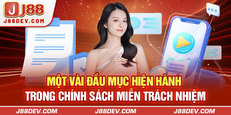 Một vài đầu mục hiện hành trong chính sách miễn trách nhiệm